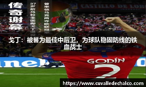 戈丁：被誉为最佳中后卫，为球队稳固防线的铁血战士