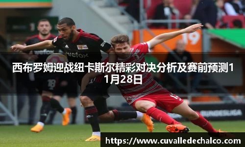 西布罗姆迎战纽卡斯尔精彩对决分析及赛前预测11月28日