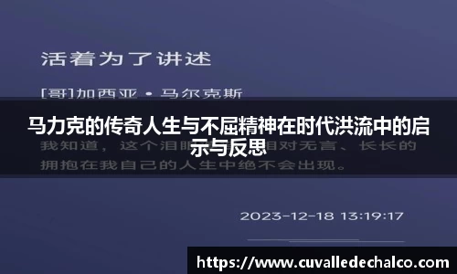 马力克的传奇人生与不屈精神在时代洪流中的启示与反思