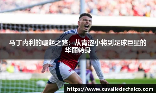 马丁内利的崛起之路：从青涩小将到足球巨星的华丽转身