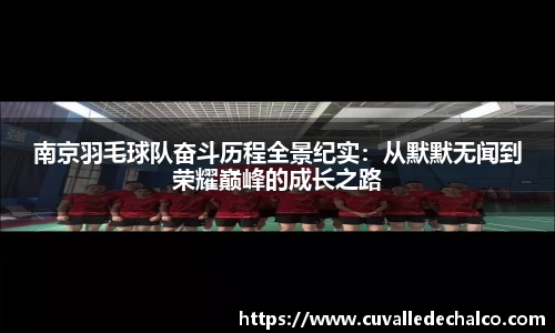 南京羽毛球队奋斗历程全景纪实：从默默无闻到荣耀巅峰的成长之路