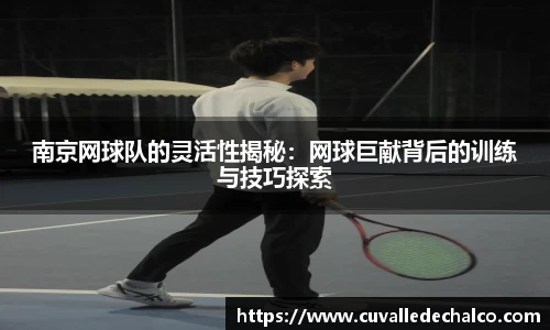 南京网球队的灵活性揭秘：网球巨献背后的训练与技巧探索